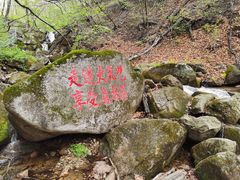 -三块石国家森林公园