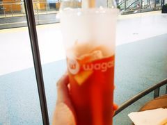 -Wagas沃歌斯(浦东机场店)