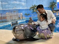 -泉城欧乐堡海洋极地世界