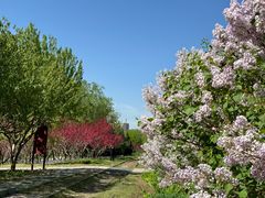 -永定河休闲森林公园