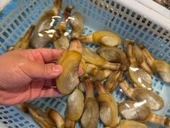 -钱山海鲜大排档