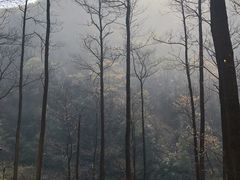 -藏龙百瀑风景区