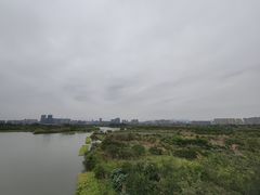 -三垟湿地