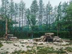 -上海野生动物园老虎餐厅