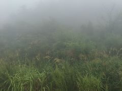 -浙西天池景区