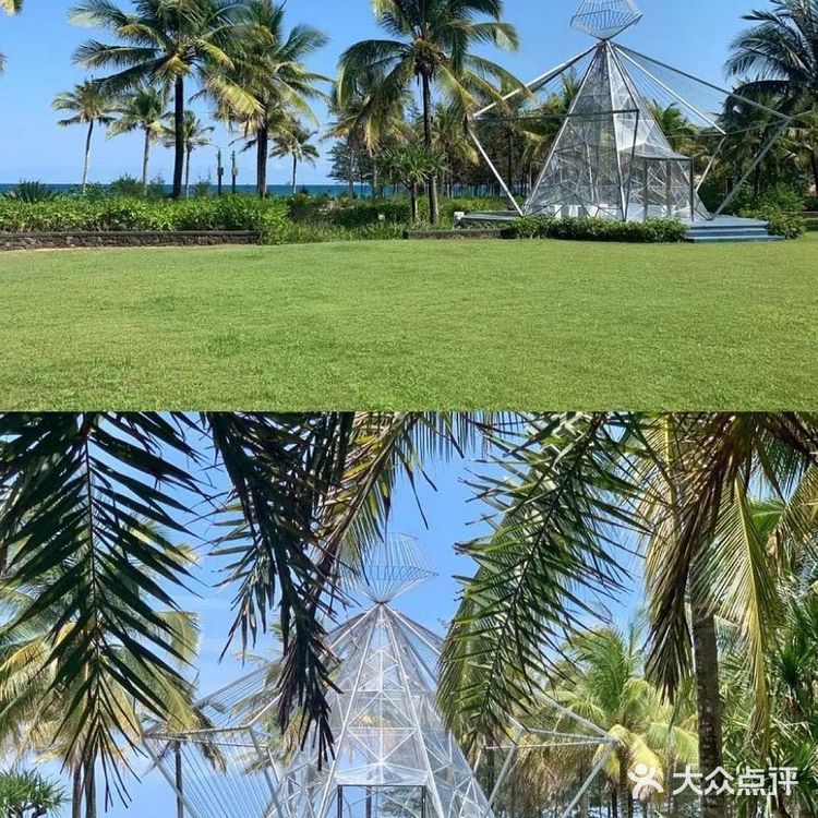 🏖️三亚婚礼场地攻略|天房洲际度假酒店