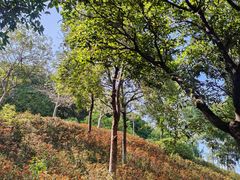 -华南师范大学(广州大学城校区)