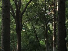 -长白岛森林公园