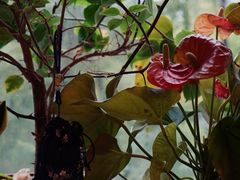 -云之南(八里庄店)