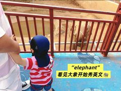 -西霞口神雕山野生动物世界