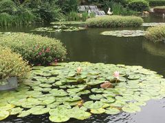 景点-圩墩遗址公园
