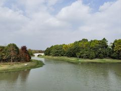 -上海海湾国家森林公园