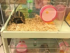 -龙猫仔乐园(惠福东路店)