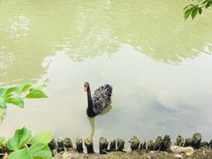 -南汇桃花村