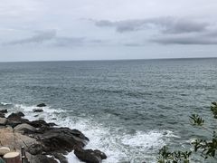 -广东惠东海龟国家级自然保护区