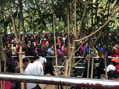 -韶山毛泽东同志故居