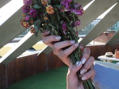 -莫内艺术岛海景咖啡