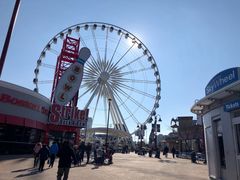 -天好咖啡(clifton hill)