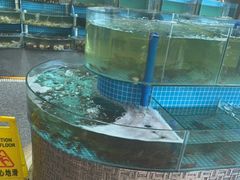 -蓝珊甄选海鲜自助·火锅大排档(近阿那亚店)