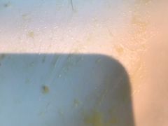 -必胜客(新海上世界店)