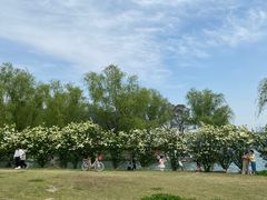 -漕湖湿地公园