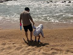 -广东惠东海龟国家级自然保护区