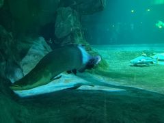 -华夏文旅海洋公园