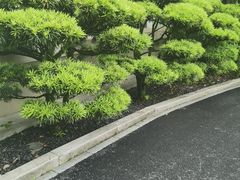 -浙江西子宾馆·瑶园咖啡厅