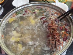-聚味罗记大排檔·烧烤·鲜鱼杂·甲鱼煲(科学馆店)