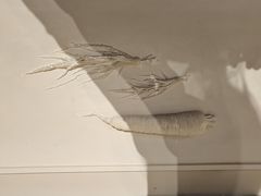 -上海科技馆(地铁站)