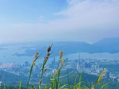 -梧桐山风景名胜区