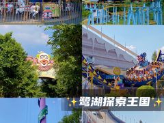 -美的鹭湖森林度假区