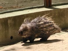 -青藏高原野生动物园