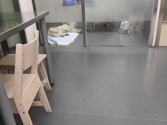 -爱侣宠医·鹦鹉专科·小型哺乳类·异宠专科(灵石路店)