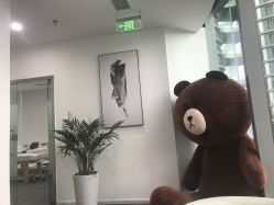 点击看大图 -贞禾医美·连锁