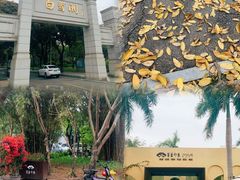 -白鹭洲公园