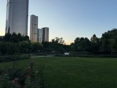 -大望京公园
