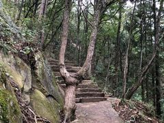 -罗田薄刀峰风景区