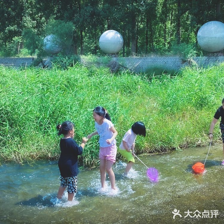 露营🏕️烧烤，遛娃好去处