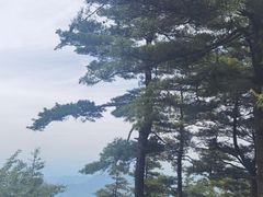 -秦岭天竺山景区