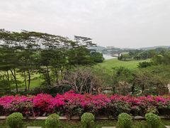 -深圳隐秀山居酒店