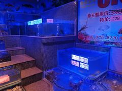-青蓬蒸汽海鲜·深圳老字号·团建聚会(壹方城店)