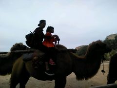 -古柏渡飞黄旅游区