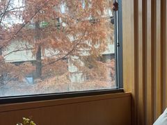 -梅间堂茶馆(绿地缤纷城店)