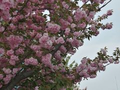 -元大都城垣遗址公园