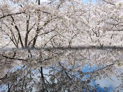 -龙美术馆(西岸馆)