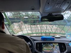 -郑州银基国际旅游度假区