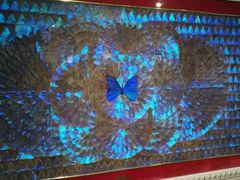 -上海昆虫博物馆