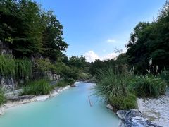 -上海吴淞炮台湾国家湿地公园