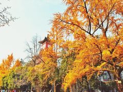 -四川大学(华西校区)